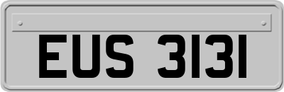 EUS3131