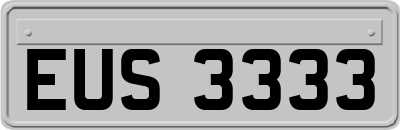 EUS3333