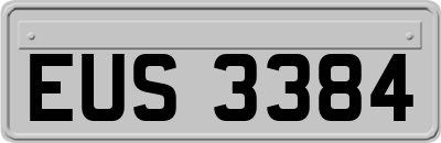 EUS3384
