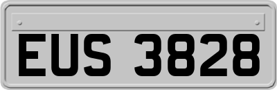EUS3828