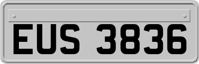 EUS3836