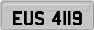 EUS4119