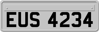 EUS4234