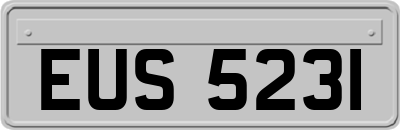 EUS5231