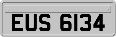 EUS6134