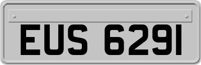 EUS6291