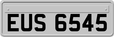 EUS6545