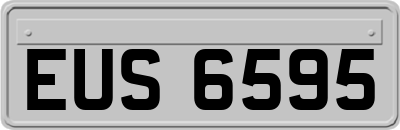 EUS6595