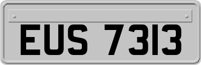 EUS7313