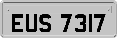 EUS7317