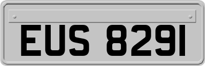 EUS8291