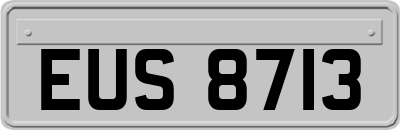 EUS8713
