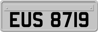 EUS8719