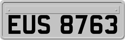 EUS8763