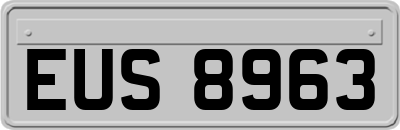 EUS8963