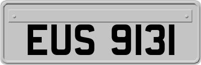 EUS9131