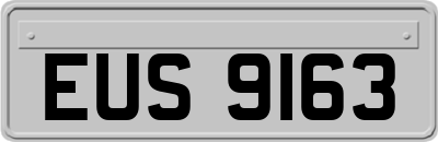 EUS9163