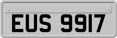 EUS9917