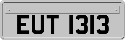 EUT1313