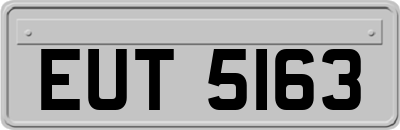EUT5163