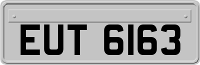 EUT6163