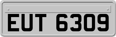 EUT6309