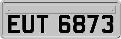 EUT6873