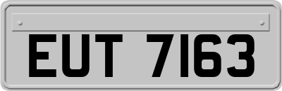 EUT7163