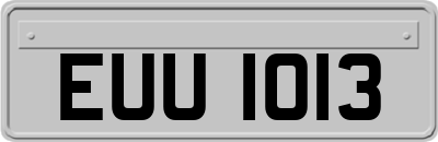 EUU1013