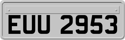 EUU2953