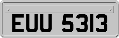 EUU5313