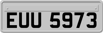 EUU5973