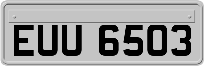 EUU6503