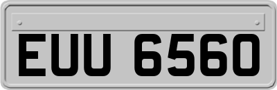 EUU6560