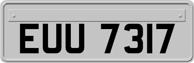 EUU7317