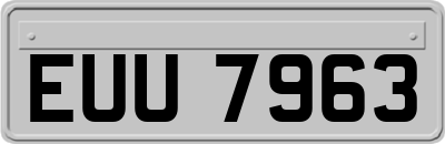 EUU7963