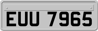 EUU7965