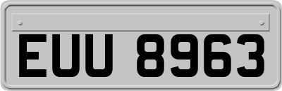 EUU8963