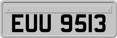 EUU9513