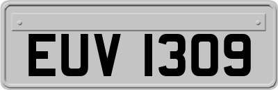 EUV1309