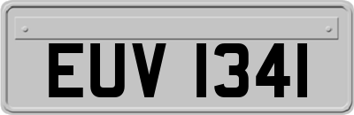 EUV1341