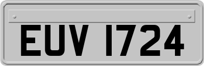 EUV1724