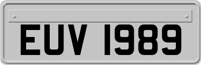 EUV1989