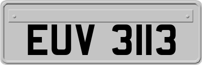 EUV3113