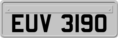 EUV3190