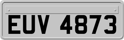 EUV4873