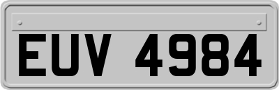 EUV4984