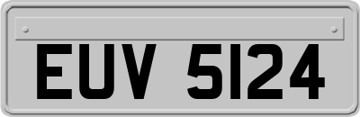EUV5124
