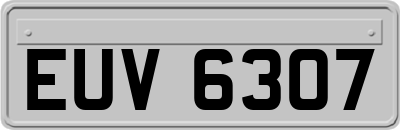 EUV6307