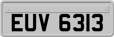 EUV6313